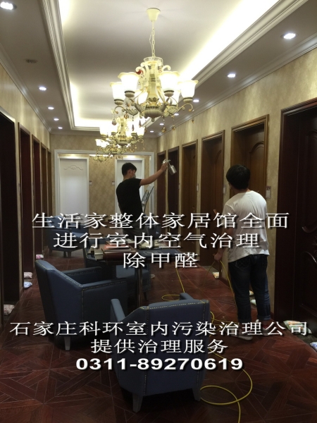 生活家健康家居馆室内空气净化治理