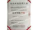 甲级治理资质证书