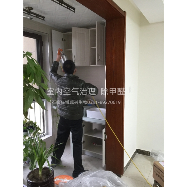 海棠湾业主家庭除甲醛